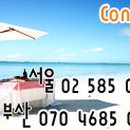 신트래블