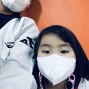 서진태권도 이미지