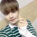 잠 Daum카페