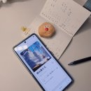 1015 | JLPT N3 단어 암기 26초 앱으로 1015개 돌파한 사용 후기