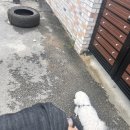 코롱세탁소 이미지