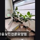 한마음노인전문요양원 | [서울 마포구 요양원/추천/후기/가격] 한마음노인전문요양원 서울 마포구 한마음노인전문요양원, 접근성...