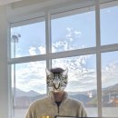 장애인어울림센터 | 2025년 양산시장배장애인어울림수영대회 후기/입상(?)