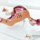 서울아이나여성의원 이미지