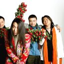 로즈-인 이미지