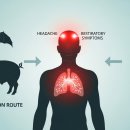 대신보건진료소 | 니파바이러스 잠복기 및 초기 증상 후기 기반의 호흡기 질환 구별법