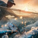 바다자원 이미지