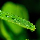 부영사랑으로2 이미지