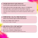 하이 찬
