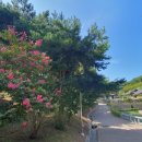 속초여행중 접촉사고~~ 이미지