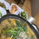 고성토종흑염소 이미지