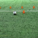 운중체육공원1,2,3 이미지