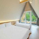 도그라운드 이미지