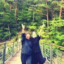 자매하우스민박 이미지