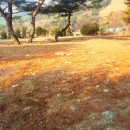 흥터입구 이미지