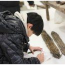 옥천향토전시관 이미지