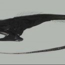 장소미정 이미지