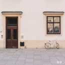 창애