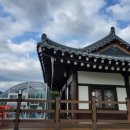 콜라니티다 이미지