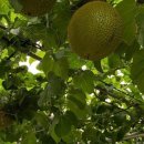 순곤농장 이미지