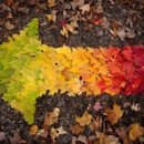 포근한맘요양병원 이미지