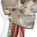 PT특별관 이미지