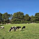 가나목장 이미지