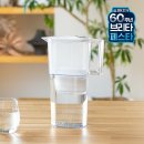 내돈내산후기. 브리타 닥터피엘 비교. 정수기비교