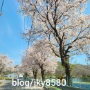 오곡리377