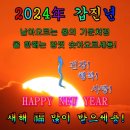 눈 떠보니 3월