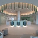 맥안경나무 이미지