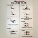 수원 카이로프랙틱 전문 &lt;현쌤바디케어&gt; 통증관리 후기