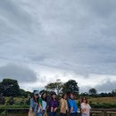 행복카서비스 | 제주도 렌트카 기사포함 제주 스타리아 투어 후기 총정리