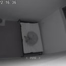 파자마독 이미지