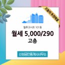 신성부동산공인중개사사무소 이미지