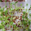 연리지농장 이미지