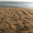 사구해수욕장1 이미지