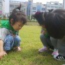 모현도서관 옆 Daum카페
