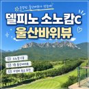 속초 숙소 델피노 리조트 소노캄C 호텔 1층 울산바위 뷰 객실 후기