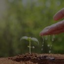 장애인지원센터 이미지