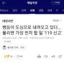 사술원진 이미지