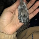 수봉공원 (인공폭포) 이미지