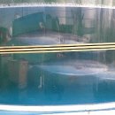 뉴해모수 이미지