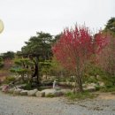 황금알연못
