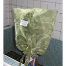 H-085 | 백팩 라지 차콜 POTE hideslot backpack charcoal (L), 17인치 노트북 가방 딱이시다,, + 5개월 사용 후기