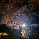 승학체육공원 이미지