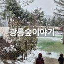 레이크문캠핑장 이미지