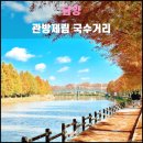 황강리 제방 벚나무 가로수 | 담양 관방제림 국수거리(2023.11): 영산강에서 으뜸가는 산책로