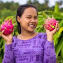 Dragon Fruit Dry 이미지
