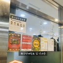 경희대 국가대표 형제 태권도 이미지